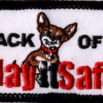 Play It Safe Defense Girl Scout Back Off Patch